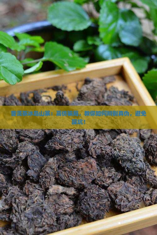 普洱茶冰岛山寨