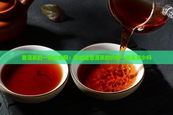 普洱茶的一般价格网