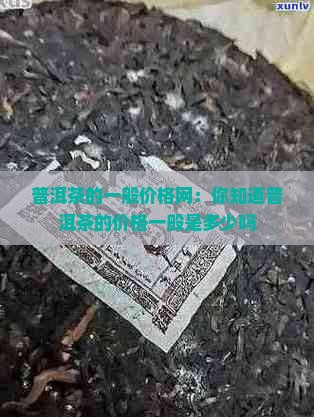 普洱茶的一般价格网