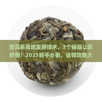 普洱茶离地发酵技术