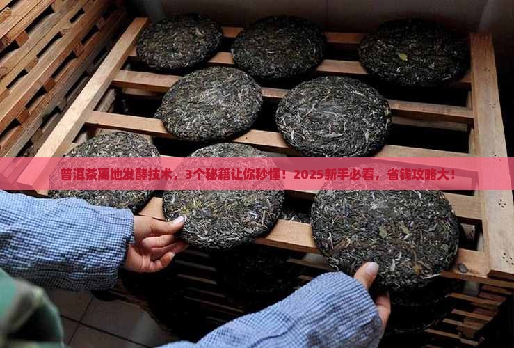 普洱茶离地发酵技术