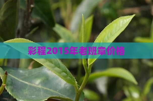 彩程2015年老班章