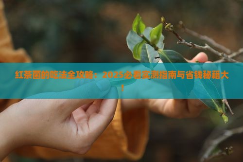 红茶菌的吃法有哪些