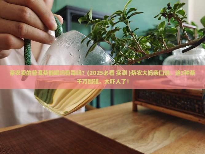 茶农卖的普洱茶能喝吗有毒吗