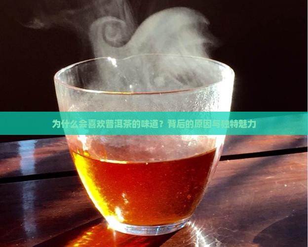 为什么会喜欢普洱茶的味道