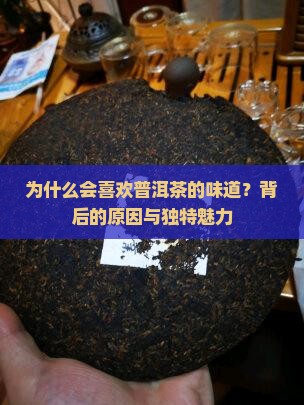为什么会喜欢普洱茶的味道