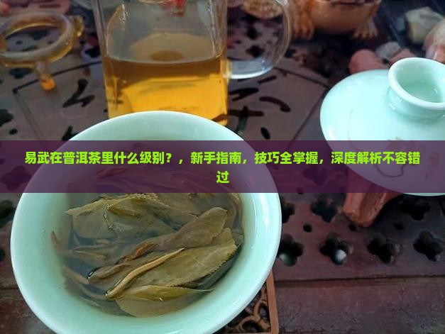 易武在普洱茶里什么级别