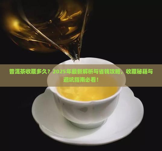 普洱茶可以购买藏多少年