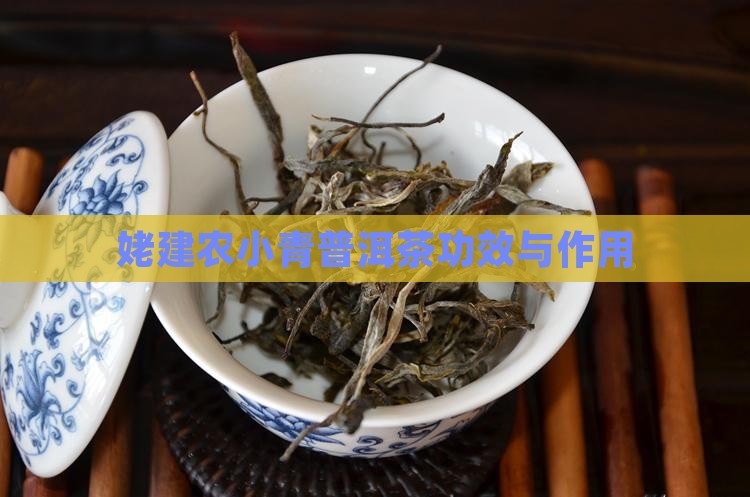 姥建农小青柑普洱茶