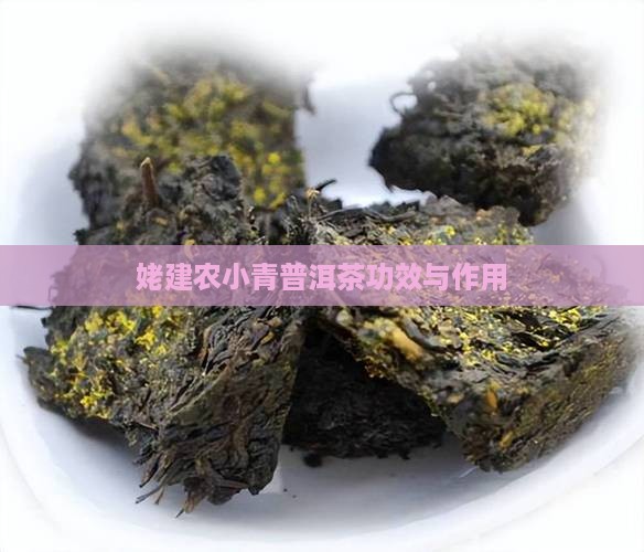 姥建农小青柑普洱茶