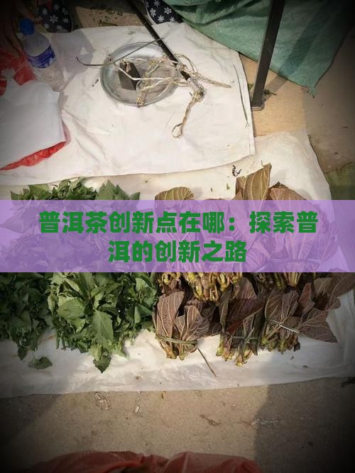 云南普洱茶创新点在哪