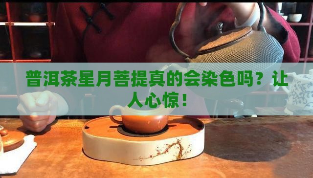 普洱茶星月菩提染色