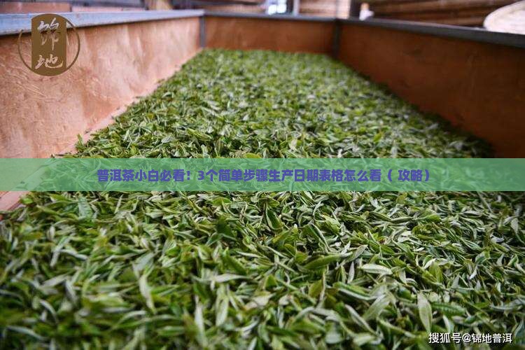 普洱茶生产日期表格怎么看