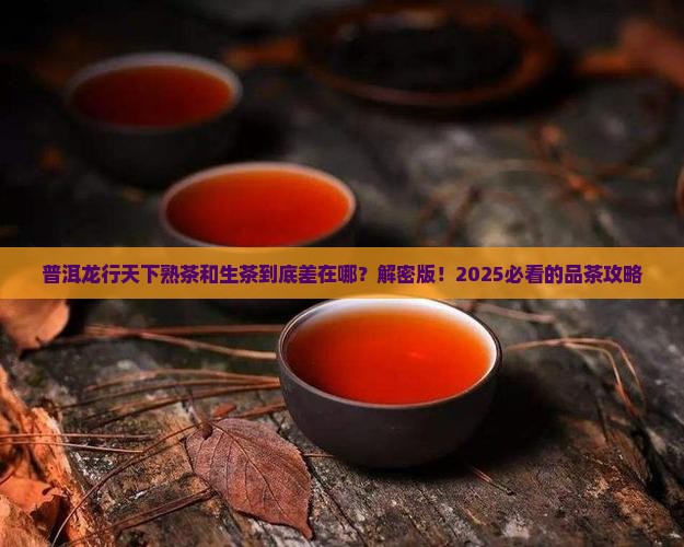 普洱龙行天下熟茶和生茶的区别