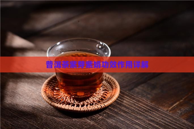 紫芽紫娟普洱茶功效