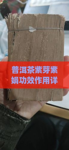 紫芽紫娟普洱茶功效