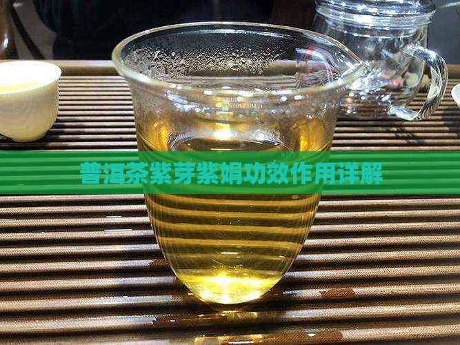 紫芽紫娟普洱茶功效