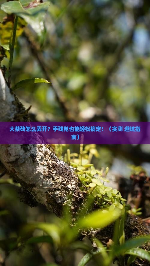 大茶砖怎么弄开
