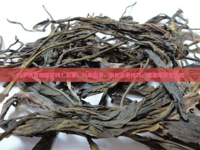 12岁男孩能喝茶吗
