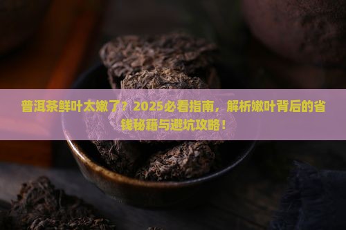 普洱茶鲜叶太嫩了