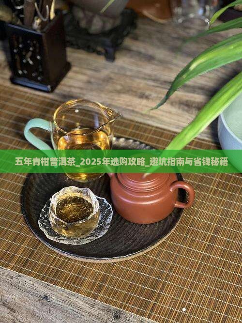 五年青柑普洱茶