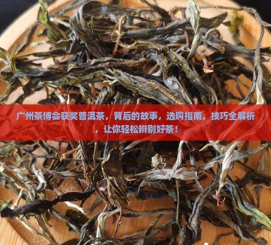 广州茶博会获奖普洱茶