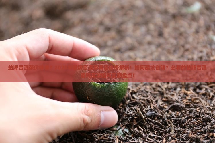 益牌普洱茶价格表