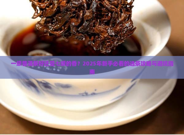 一级普洱茶好还是七级的好