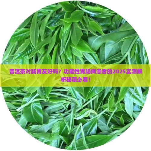功能性胃肠病能喝普洱茶吗