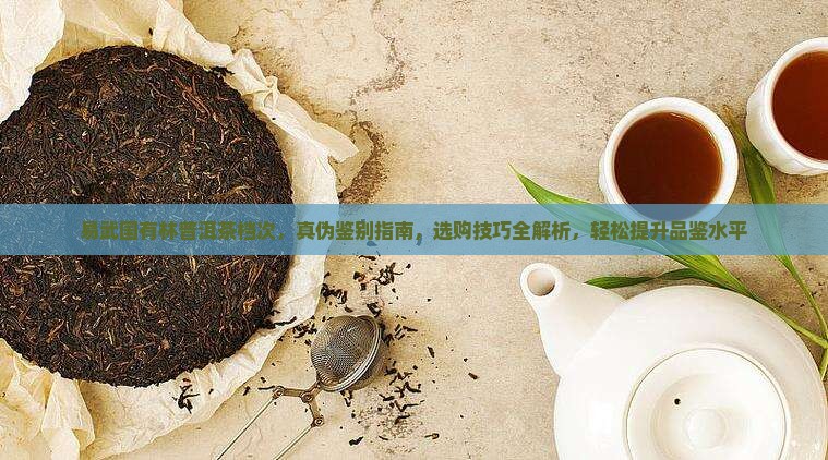 易武国有林普洱茶档次