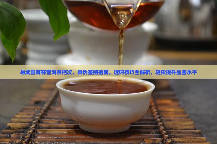 易武国有林普洱茶档次