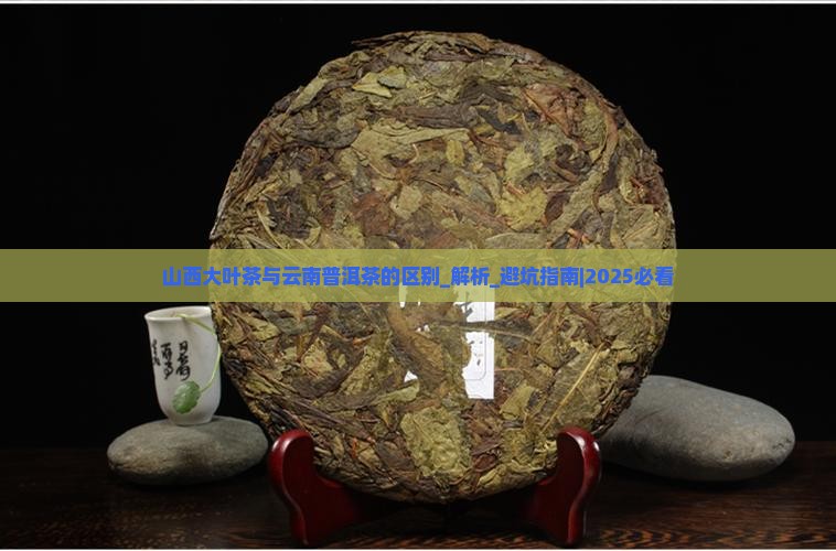 山西大叶茶与云南普洱茶的区别