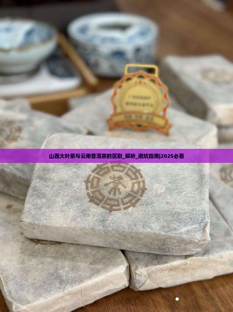 山西大叶茶与云南普洱茶的区别