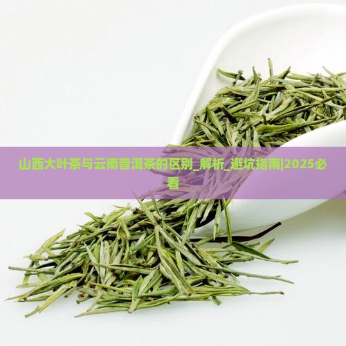 山西大叶茶与云南普洱茶的区别