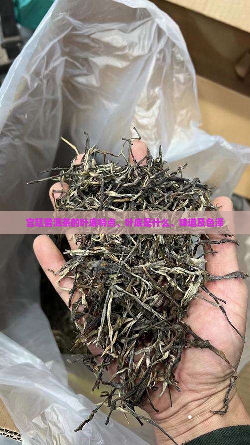 宫廷普洱茶的叶底