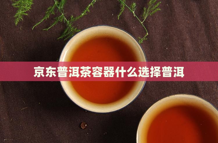 普洱茶的放的容器