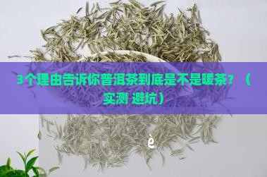 普洱茶属暖茶吗