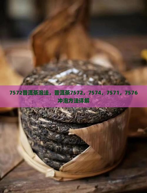 7572普洱茶泡法