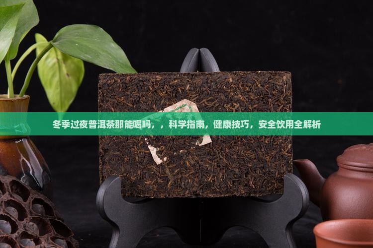 冬季过夜普洱茶那能喝吗