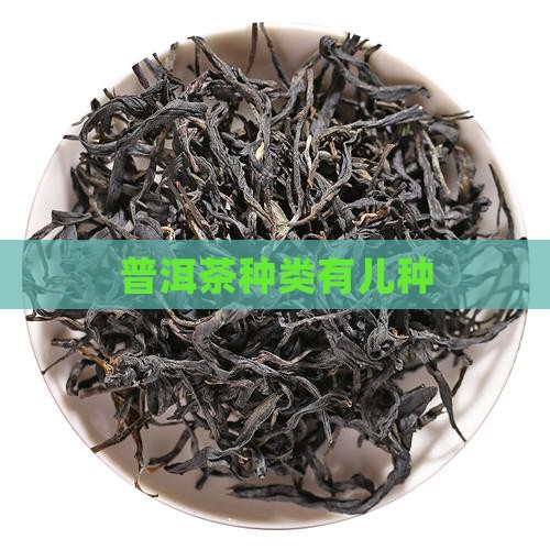 普洱茶种类有儿种