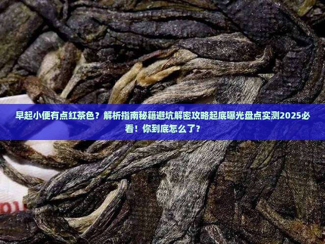 早起小便有点红茶色