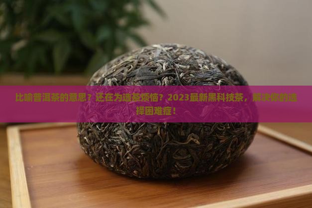 比喻普洱茶的意思