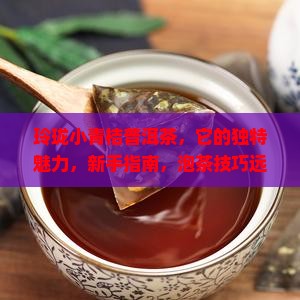 玲珑小青桔普洱茶