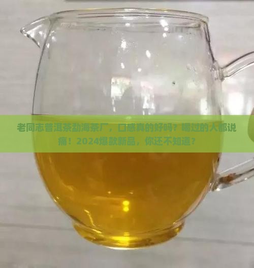 老同志普洱茶勐海茶厂