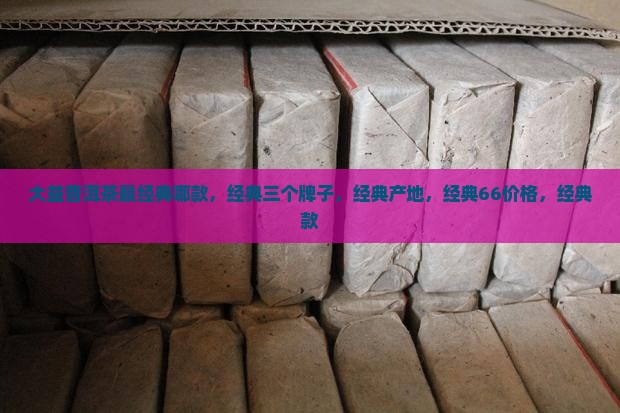 大益普洱茶最经典