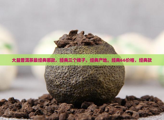 大益普洱茶最经典