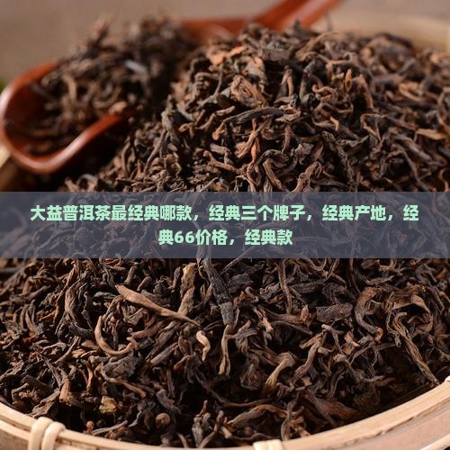 大益普洱茶最经典