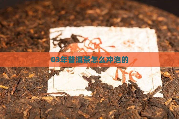 03年普洱茶怎么泡的