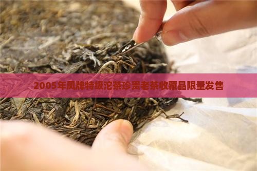 2005年凤牌特级沱茶