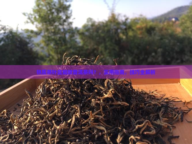 铁质茶叶盒能放普洱茶吗